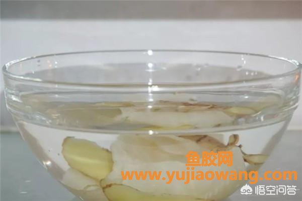 大花胶筒如何泡发 小花胶筒怎么样泡发 大花胶筒如何泡发 小花胶筒怎么样泡发