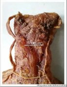 花胶对孕妇的功效与作用及食用方法 孕妇吃花胶的功效与作用及
