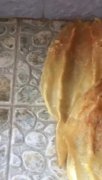 花胶会煲融吗 花胶会煲溶吗