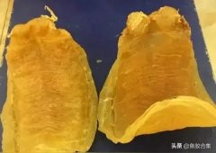 孕妇吃花胶方法和用量 孕妇吃花胶的用量