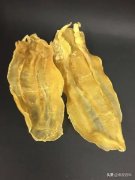 花胶怎么煲汤用 用什么煲花胶汤