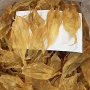 花胶薏米粥当归 花胶当归汤