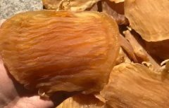 花胶可以和银耳一起吃吗 花胶跟桃胶银耳可以一起炖吗?