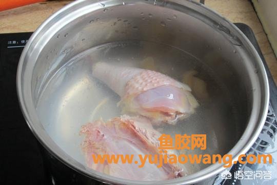 花胶煲鸡汤还是炖鸡汤 花胶和鸡煲汤最适合 花胶煲鸡汤还是炖鸡汤 花胶和鸡煲汤最适合