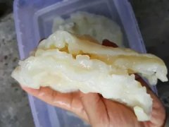花胶 头晕怎么了 吃完花胶头晕恶心想睡觉