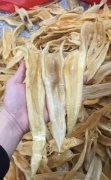 有伤口可以吃花胶么 多吃花胶是不是对伤口疤痕有帮助?