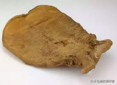 花胶炖好可以过夜吃吗 花胶可以炖一晚上吗