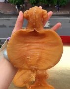 花胶煲鸡怎样煮 花胶鸡怎么煮
