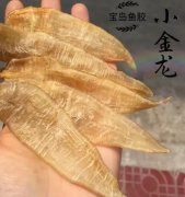 花胶可以炖海带 花胶海带汤