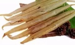 花胶引起息肉 吃花胶会长内膜息肉吗