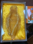 排毒食品 排毒的食物有哪些