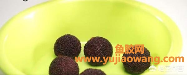 杨梅里面的虫子能吃吗 杨梅上的虫子能吃吗 杨梅里面的虫子能吃吗 杨梅上的虫子能吃吗