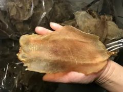 孕妇花胶响螺虫草花 花胶响螺片虫草花煲汤的做法
