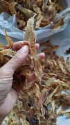 花胶红枣牛奶的做法与功效与作用 花胶红枣炖牛奶有什么功效