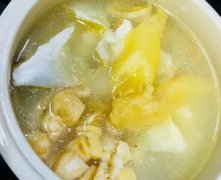 鸽子花胶椰子汤 椰子鸽子汤功效
