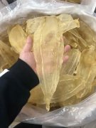 气管炎可以喝花胶汤吗 气管炎能吃花胶吗