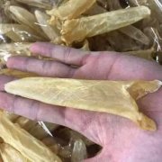 花胶怎么处理才不腥 花胶怎样处理没有腥味