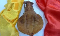 夏季花胶食谱 花胶夏天怎么做好吃