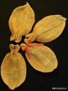 乌鸡花胶红枣汤 乌鸡花胶红枣汤的做法