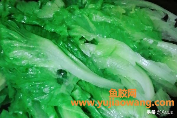 蚝油生菜的做法步骤 蚝油生菜的做法步骤视频 蚝油生菜的做法步骤 蚝油生菜的做法步骤视频