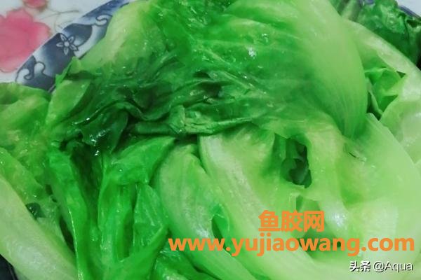 蚝油生菜的做法步骤 蚝油生菜的做法步骤视频 蚝油生菜的做法步骤 蚝油生菜的做法步骤视频