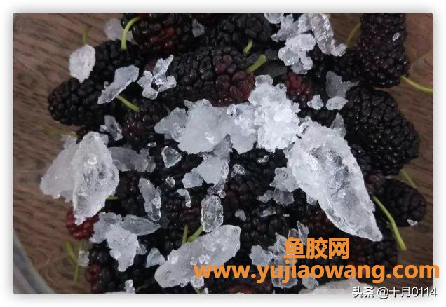 桑葚酒的做法 桑葚酒的做法