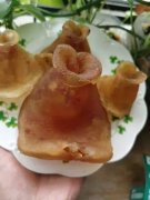 花胶乌鸡花旗参上火吗 花旗参花胶乌鸡汤的功效