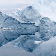 胎儿能做亲子鉴定吗 未出生的胎儿可以做亲子鉴定吗