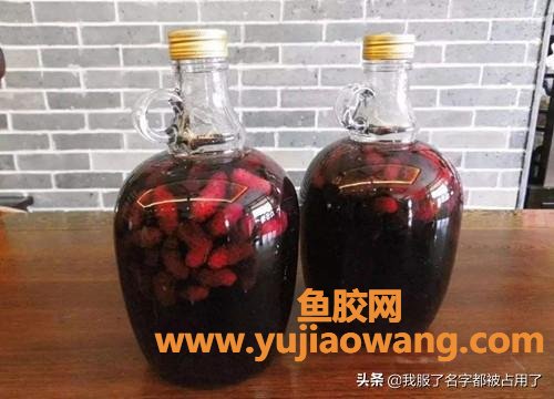 桑葚泡酒的方法 桑葚泡酒的方法