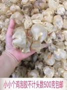 花胶配海马怎么吃 花胶炖海马的做法