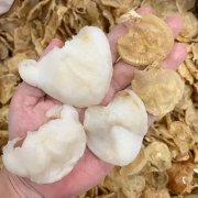 花胶煲鸡汤用什么食材 花胶煲鸡汤怎么做