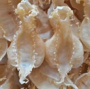 花胶松茸炖鸡汤 姬松茸花胶炖鸡汤的做法