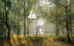 空腹吃香蕉好吗 空腹可吃香蕉么