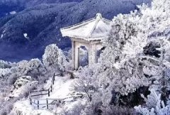 痔疮很疼怎么办 痔疮疼起来怎么办