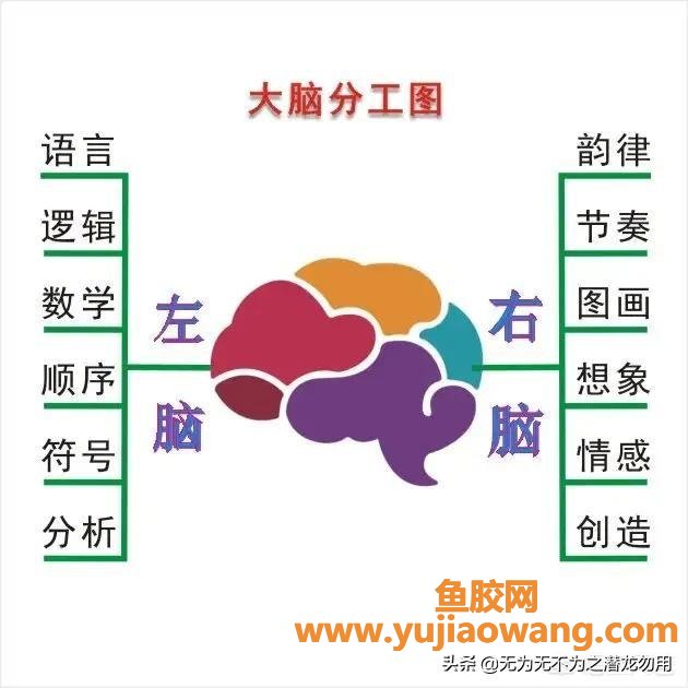 记忆力增强 增强记忆力的训练 记忆力增强 增强记忆力的训练