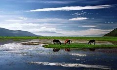 失眠吃什么药最好 