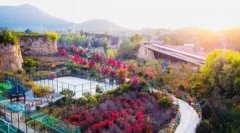 祛斑小妙招六个 6种祛斑最好的方法