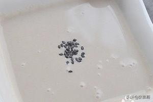 如何用豆浆机做米糊 如何用豆浆机做米糊? 如何用豆浆机做米糊 如何用豆浆机做米糊?