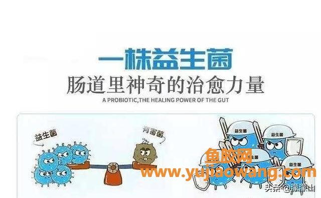 肠炎的症状及治疗 慢肠炎的症状与治疗方法 肠炎的症状及治疗 慢肠炎的症状与治疗方法