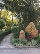 脸歪下巴歪 脸歪下巴歪怎么办