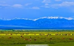 蜂蜜白醋减肥法 正确蜂蜜白醋减肥法