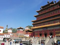 光纤无痕溶脂 光纤无痕溶脂图片对比