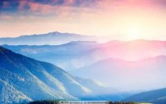 如何泡枸杞菊花茶 菊花枸杞泡水喝的正确方法