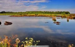 口足手病的症状 口足手病的治疗方法