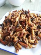 关于怀孕方面的知识 关于怀孕方面的知识问答