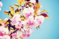 肝部钙化点 肝部钙化点是什么意思