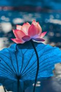 e光技术 什么是e光