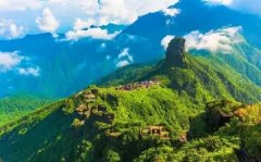 醋精的作用 醋精的用途