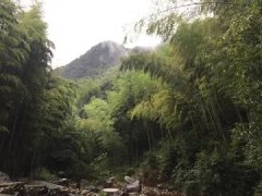 屁眼痒是什么原因引起