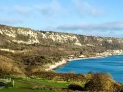 蛋黄粉的功效与作用 蛋白粉的功效与作用